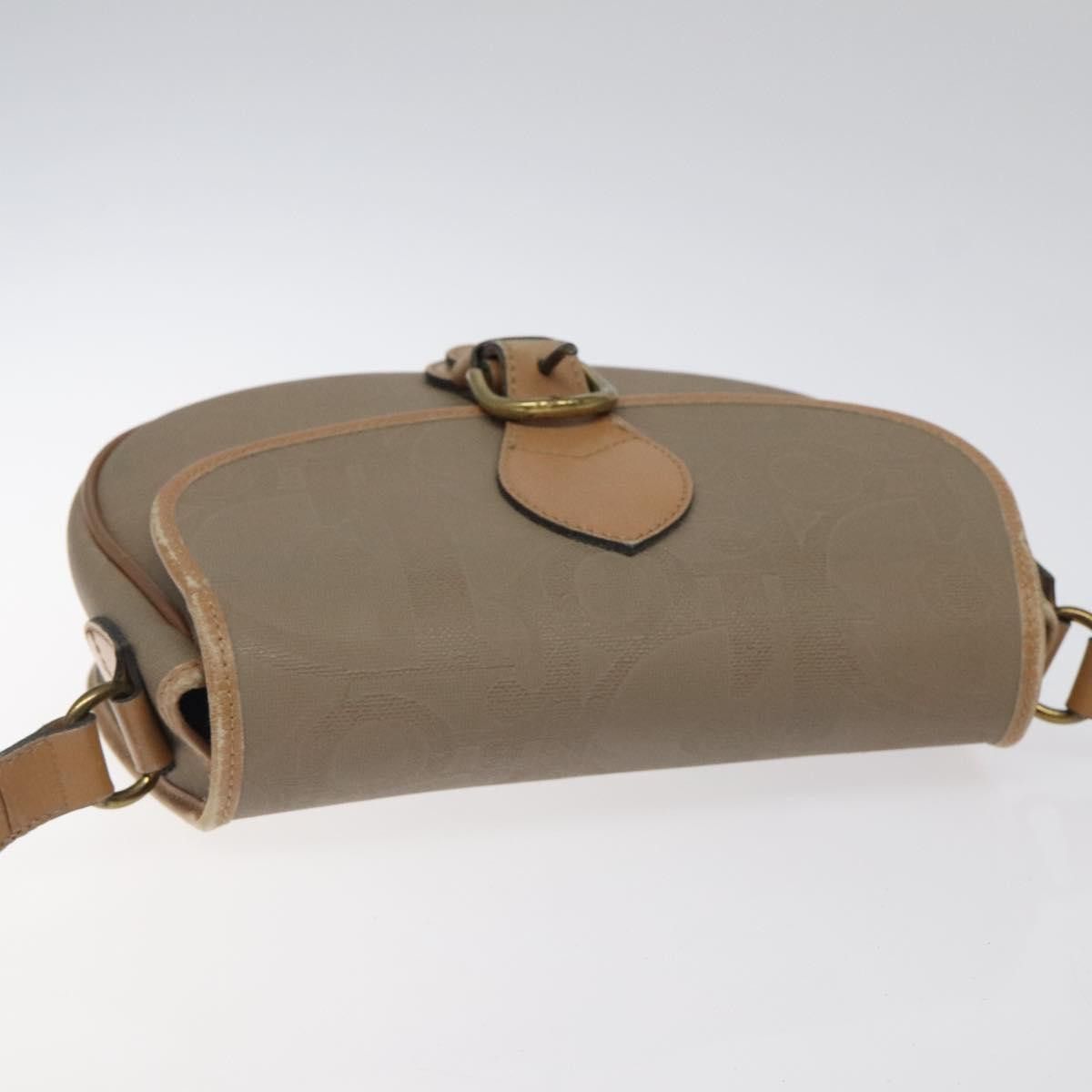 Dior Dior Trotter shoulder Size ONE SIZE - 15 Thumbnail
