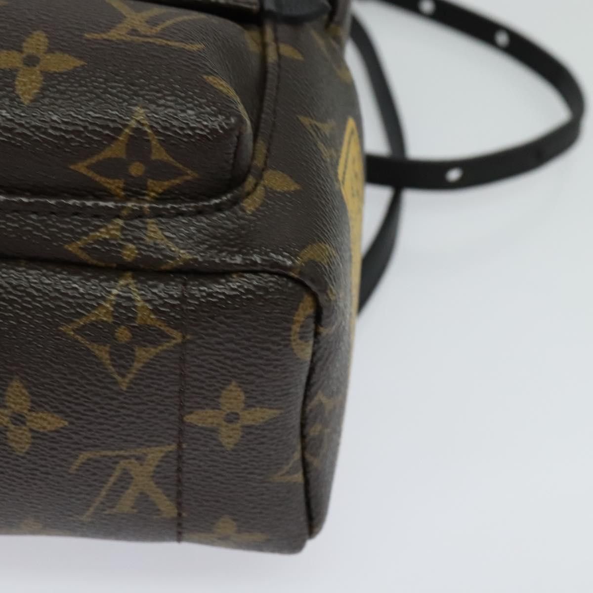 Louis Vuitton Louis Vuitton Palm Springs mini backpack Size ONE SIZE - 13 Thumbnail
