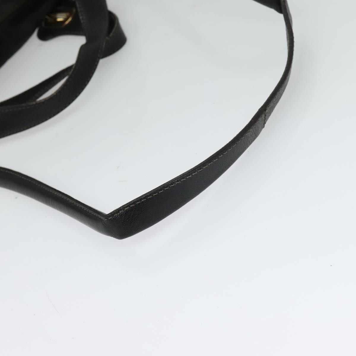Chloe Chloé Paraty handbag Size ONE SIZE - 17 Thumbnail
