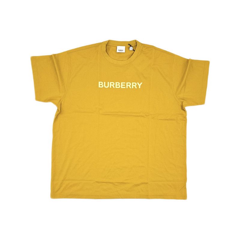 Burberry Burberry SS23 Logo Print Loose Fit T-shirt 0079 Size US L / EU 52-54 / 3 - 14 Thumbnail