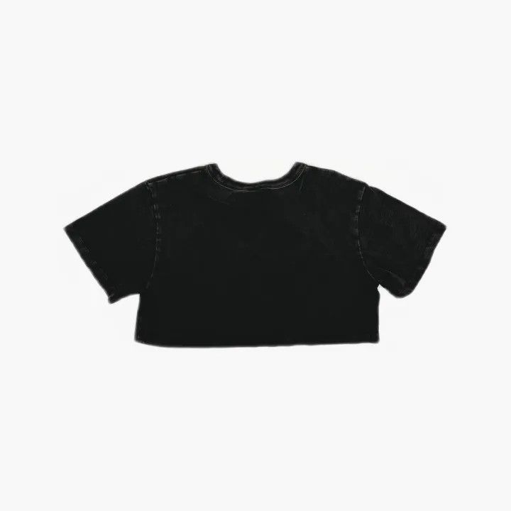 Alexander Wang SS22 Cropped Logo T-Shirt in Gray 0079
