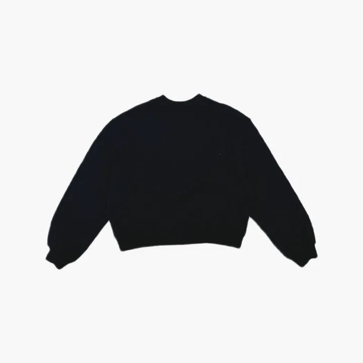 Alexander Wang Alexander Wang Black Cotton Logo Sweatshirt 0079 Size XS / US 0-2 / IT 36-38 - 3 Thumbnail