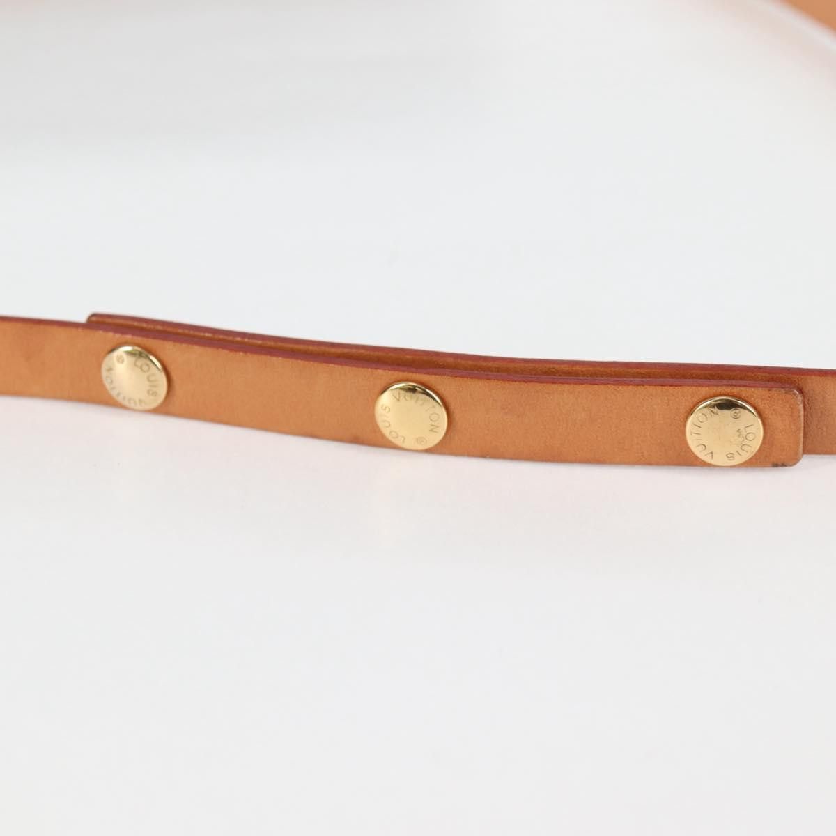 Louis Vuitton Louis Vuitton Florentine shoulder Size ONE SIZE - 17 Thumbnail