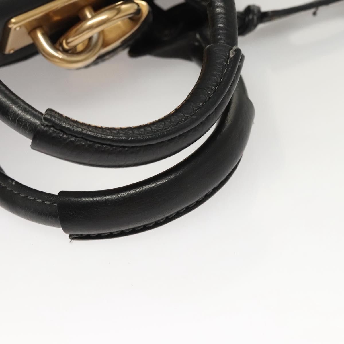 Chloe Chloé Paddington handbag Size ONE SIZE - 5 Thumbnail