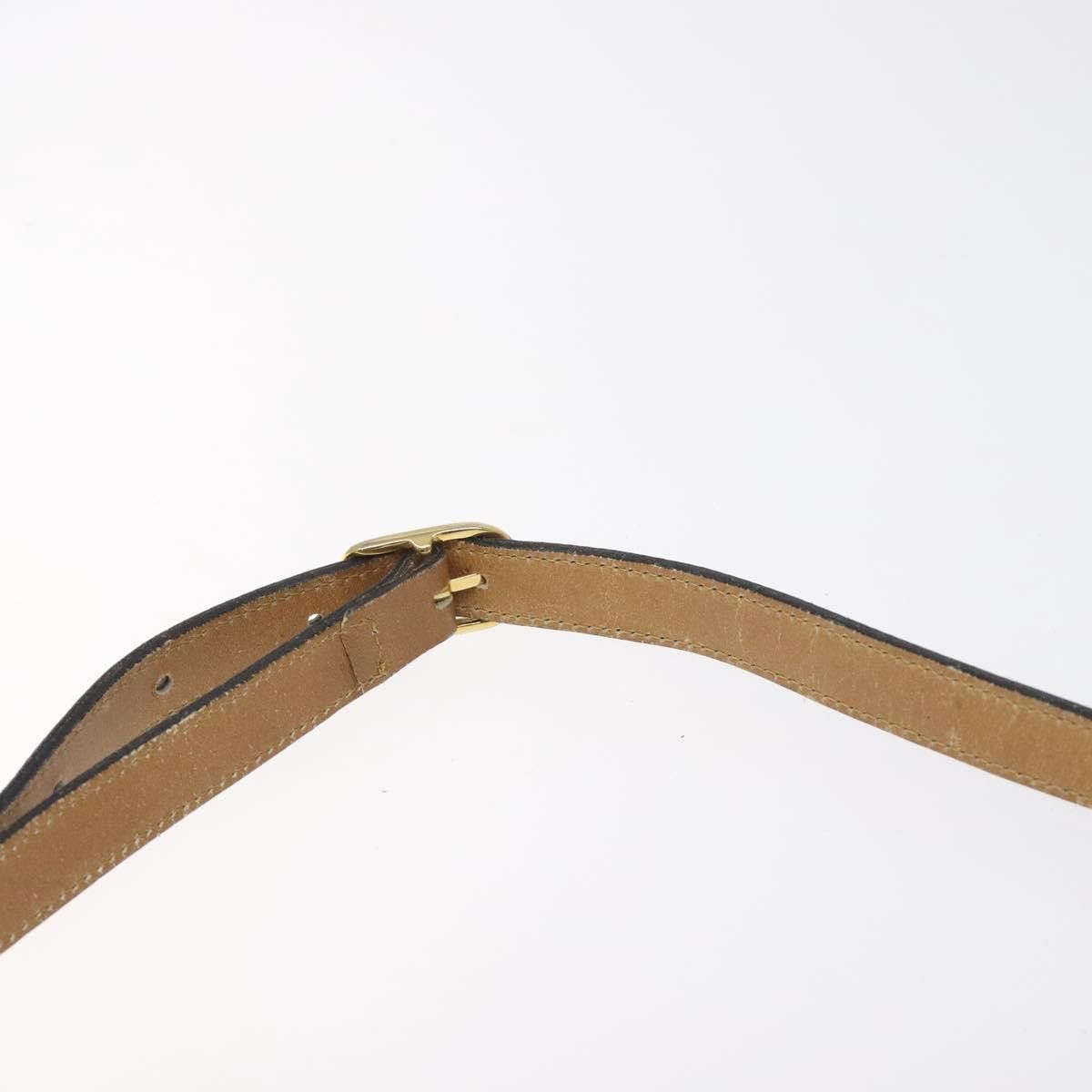 Celine Céline Triomphe shoulder Size ONE SIZE - 19 Thumbnail
