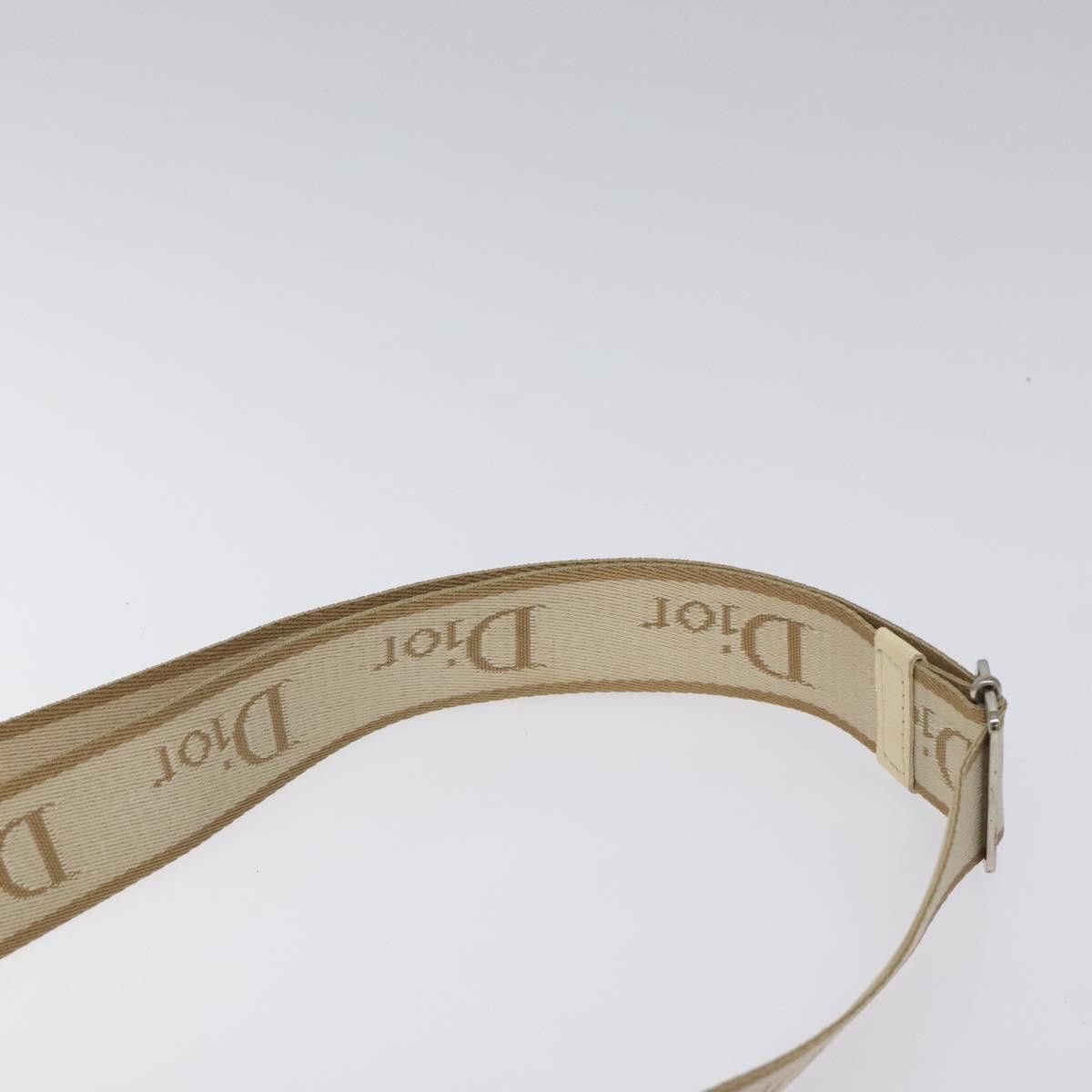 Dior Dior Trotter shoulder Size ONE SIZE - 17 Thumbnail