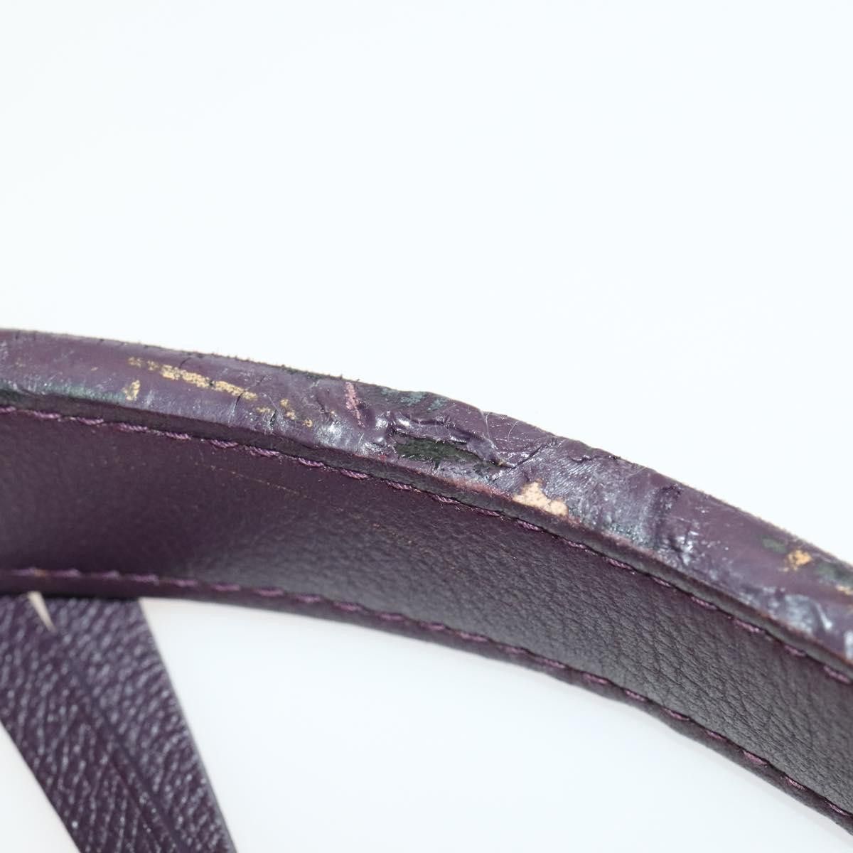 Louis Vuitton Louis Vuitton Audacieuse shoulder Size ONE SIZE - 19 Thumbnail
