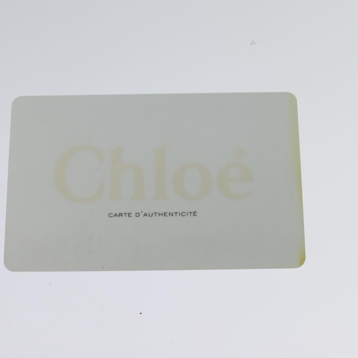 Chloe Chloé Paraty handbag Size ONE SIZE - 21 Thumbnail