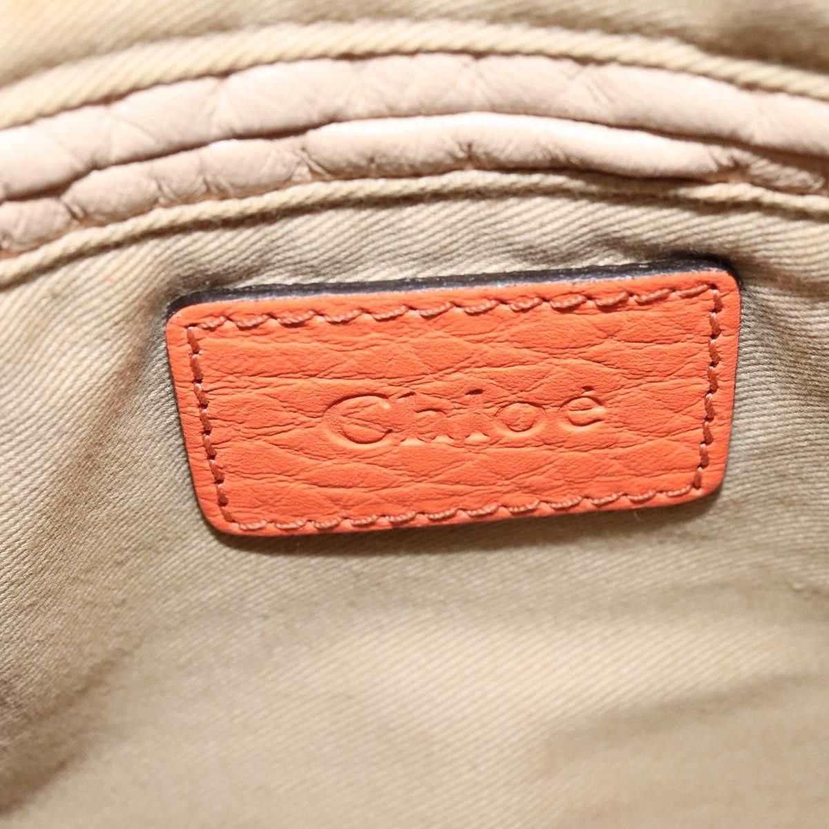 Chloe Chloé Paraty handbag Size ONE SIZE - 20 Thumbnail