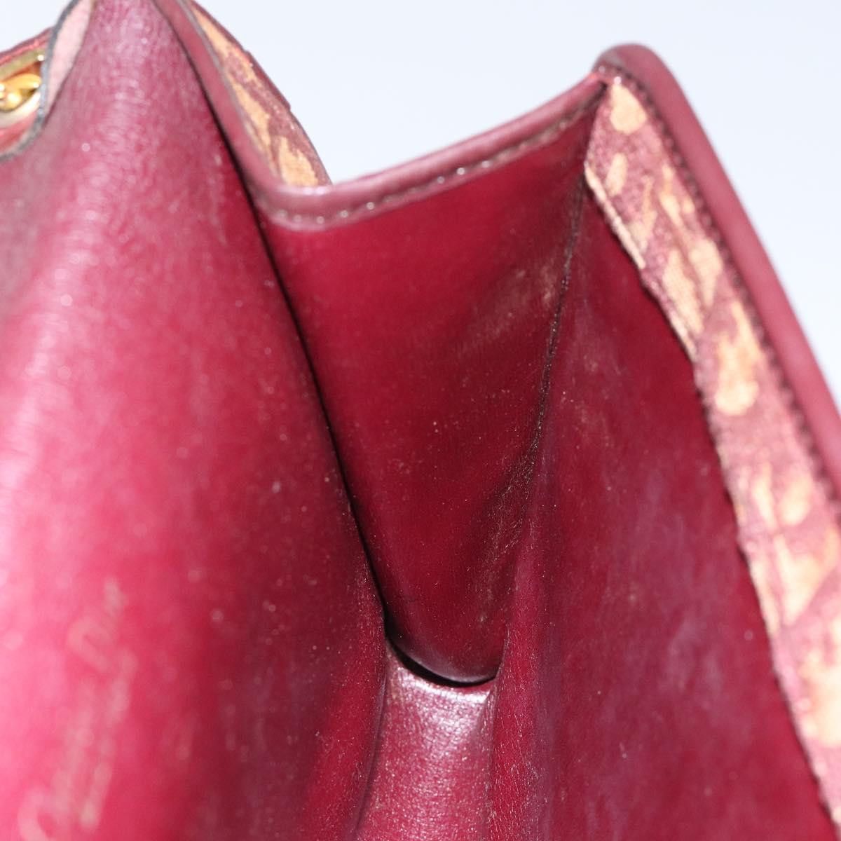 Dior Dior Trotter shoulder Size ONE SIZE - 19 Thumbnail