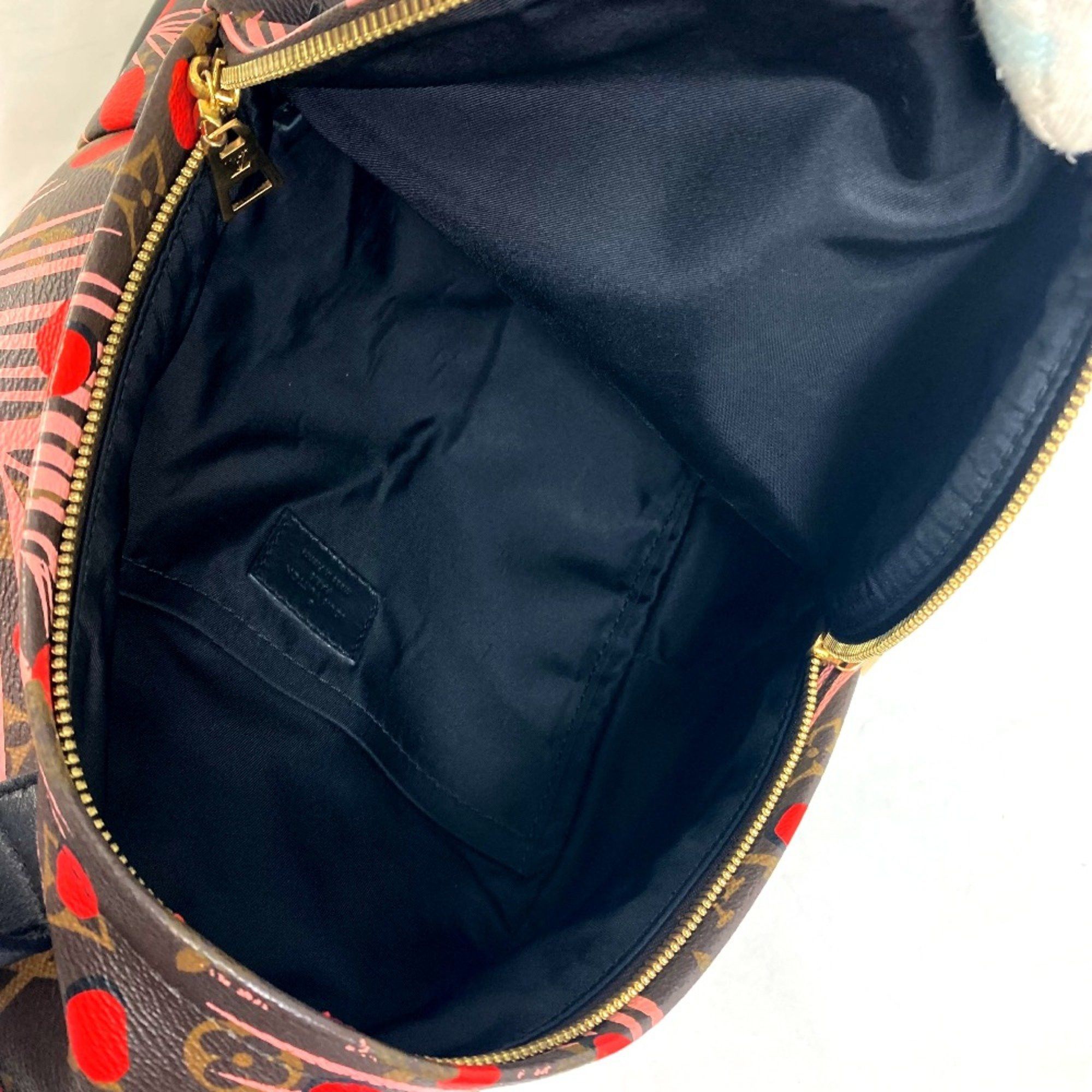 Louis Vuitton Louis Vuitton Palm Springs backpack Size ONE SIZE - 15 Thumbnail