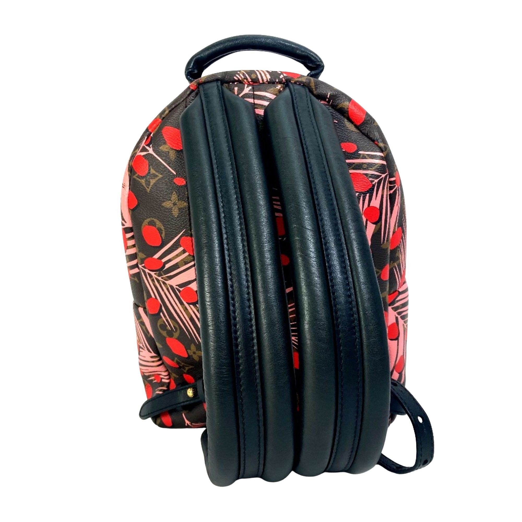 Louis Vuitton Louis Vuitton Palm Springs backpack Size ONE SIZE - 2 Thumbnail