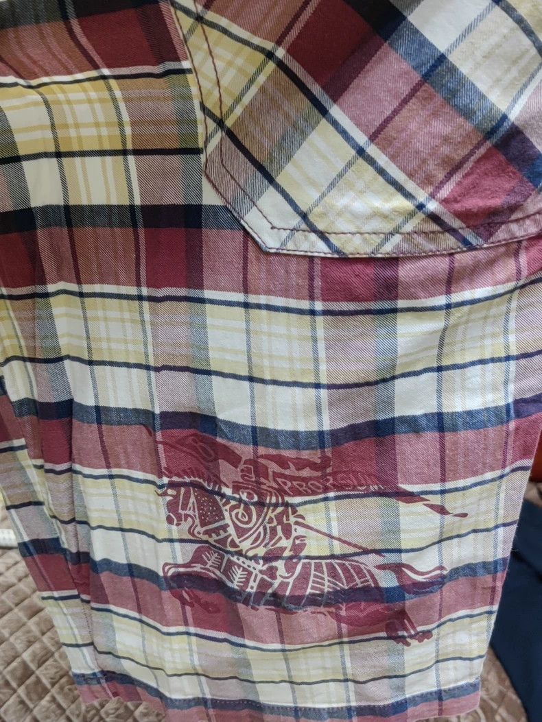 Burberry Burberry Black Label Plaid Shorts Size US 40 / EU 56 - 2 Thumbnail