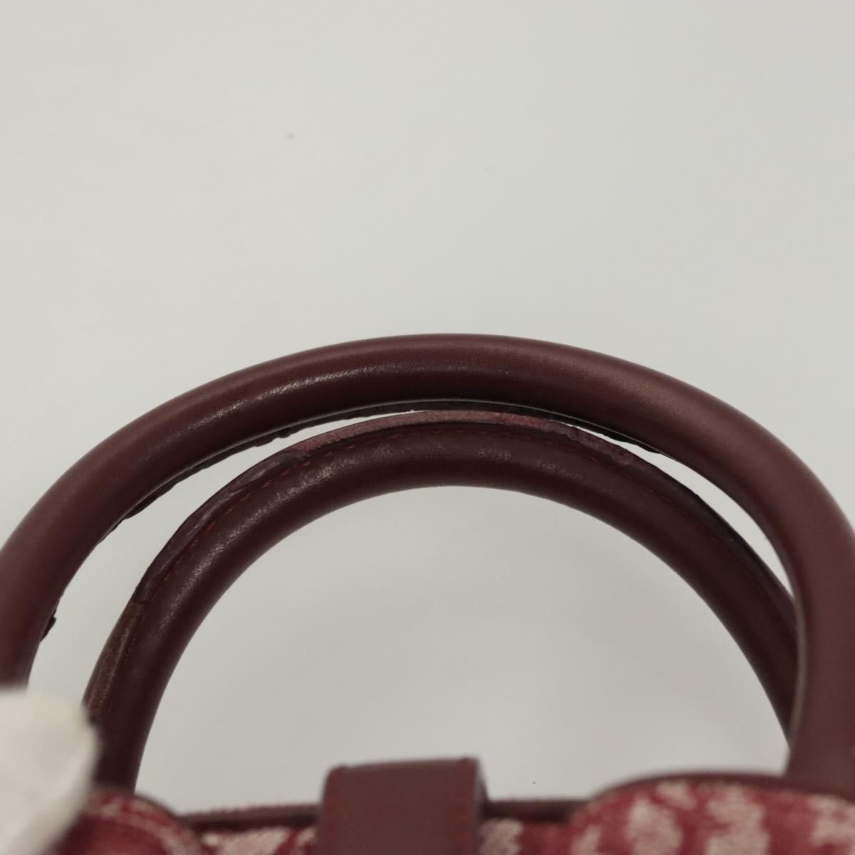 Dior Dior Double Saddle handbag Size ONE SIZE - 22 Thumbnail