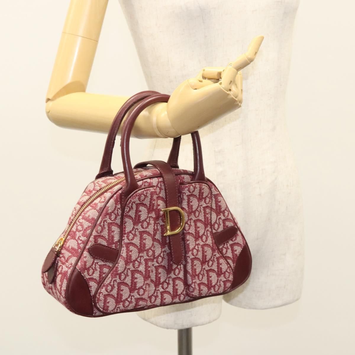 Dior Dior Double Saddle handbag Size ONE SIZE - 15 Thumbnail