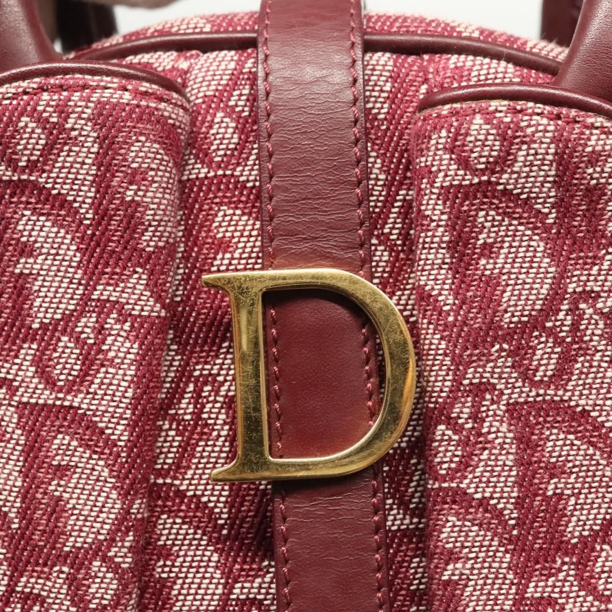 Dior Dior Double Saddle handbag Size ONE SIZE - 11 Thumbnail