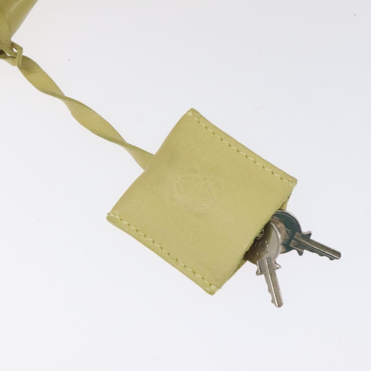 Loewe Loewe Amazona handbag Size ONE SIZE - 13 Thumbnail