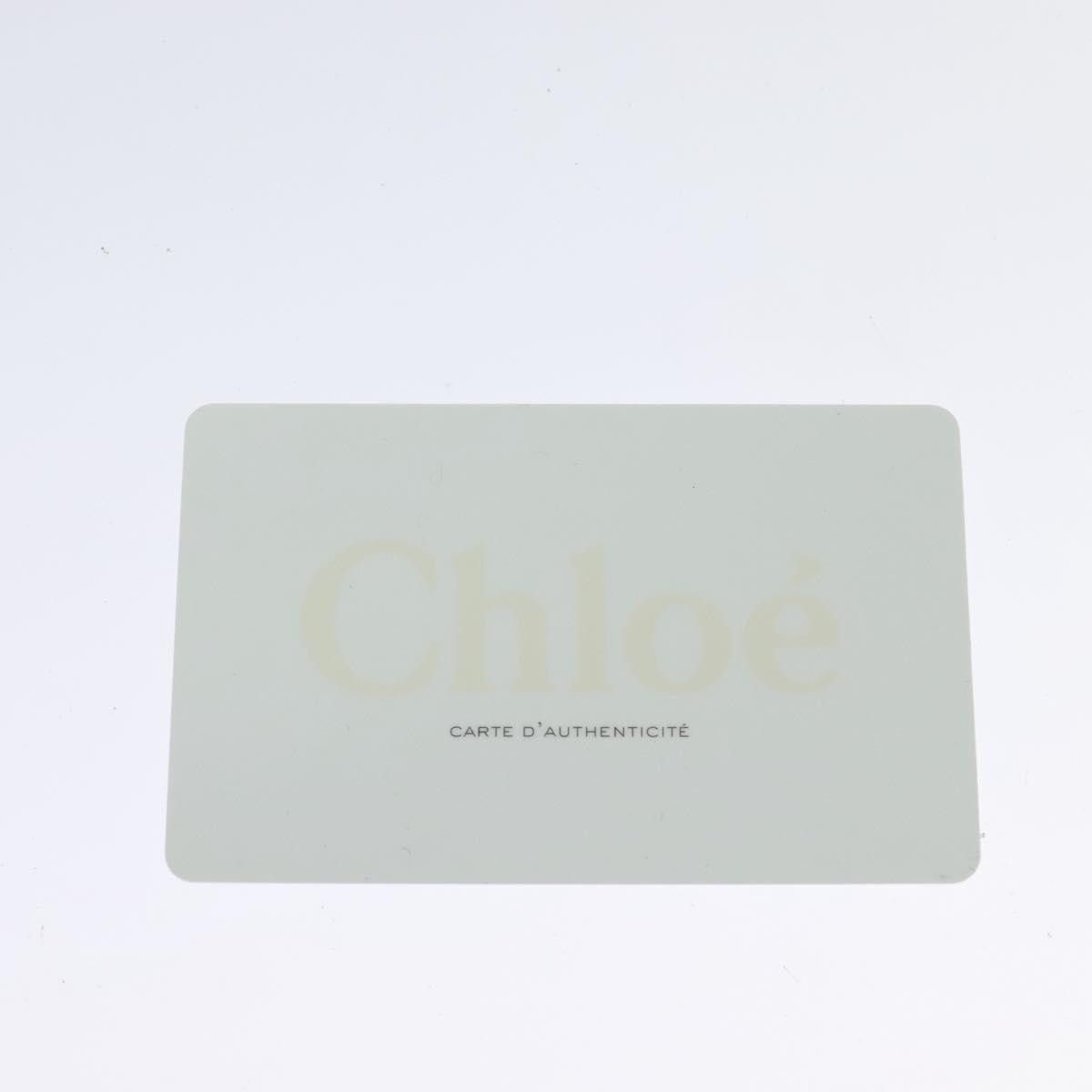 Chloe Chloé Lily handbag Size ONE SIZE - 14 Thumbnail