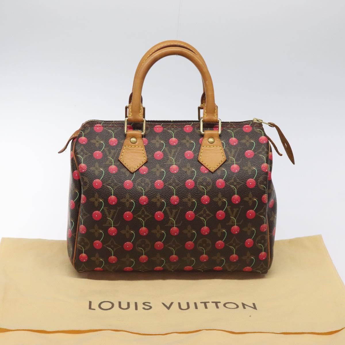 Louis Vuitton Louis Vuitton Speedy 25 handbag Size ONE SIZE - 14 Thumbnail