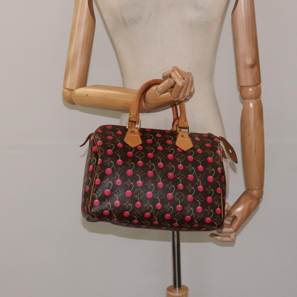 Louis Vuitton Louis Vuitton Speedy 25 handbag Size ONE SIZE - 15 Thumbnail