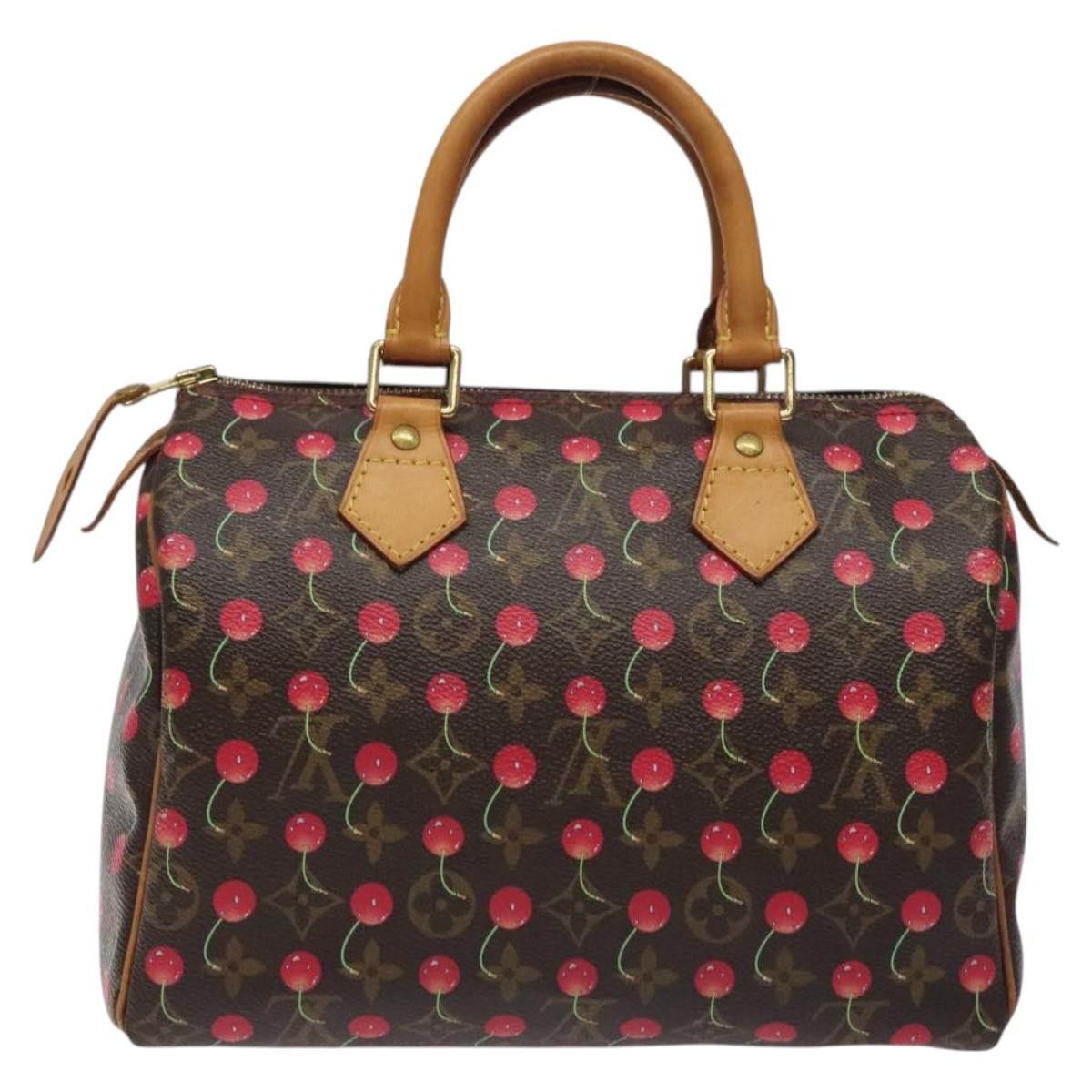 Louis Vuitton Louis Vuitton Speedy 25 handbag Size ONE SIZE - 2 Thumbnail