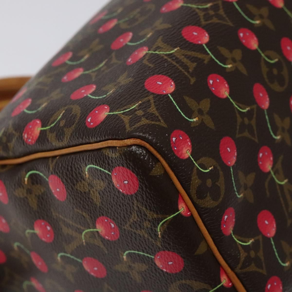 Louis Vuitton Louis Vuitton Speedy 25 handbag Size ONE SIZE - 9 Thumbnail