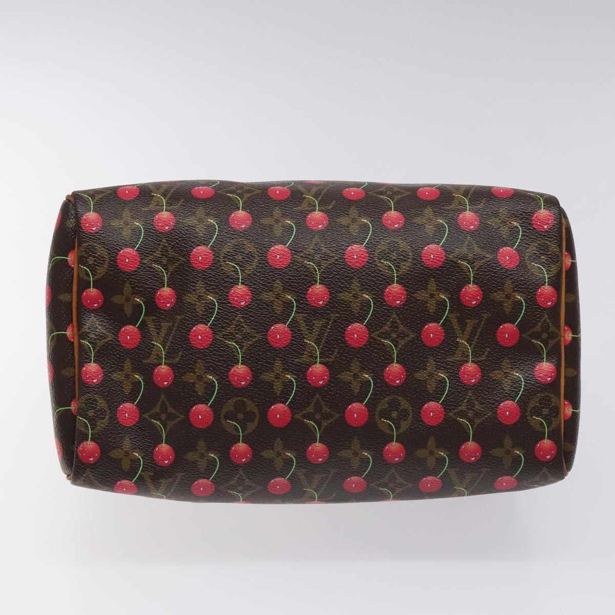 Louis Vuitton Louis Vuitton Speedy 25 handbag Size ONE SIZE - 20 Thumbnail