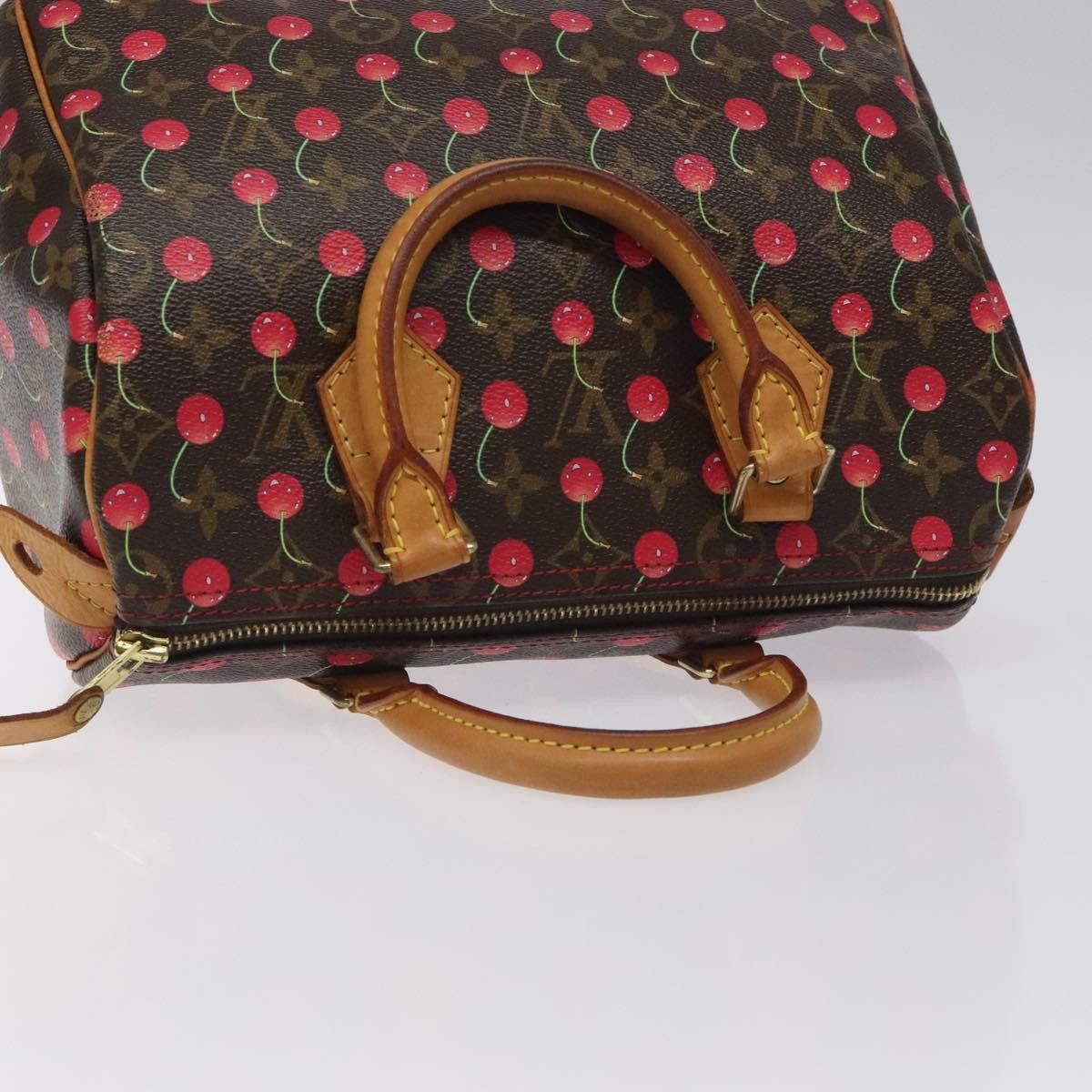 Louis Vuitton Louis Vuitton Speedy 25 handbag Size ONE SIZE - 18 Thumbnail