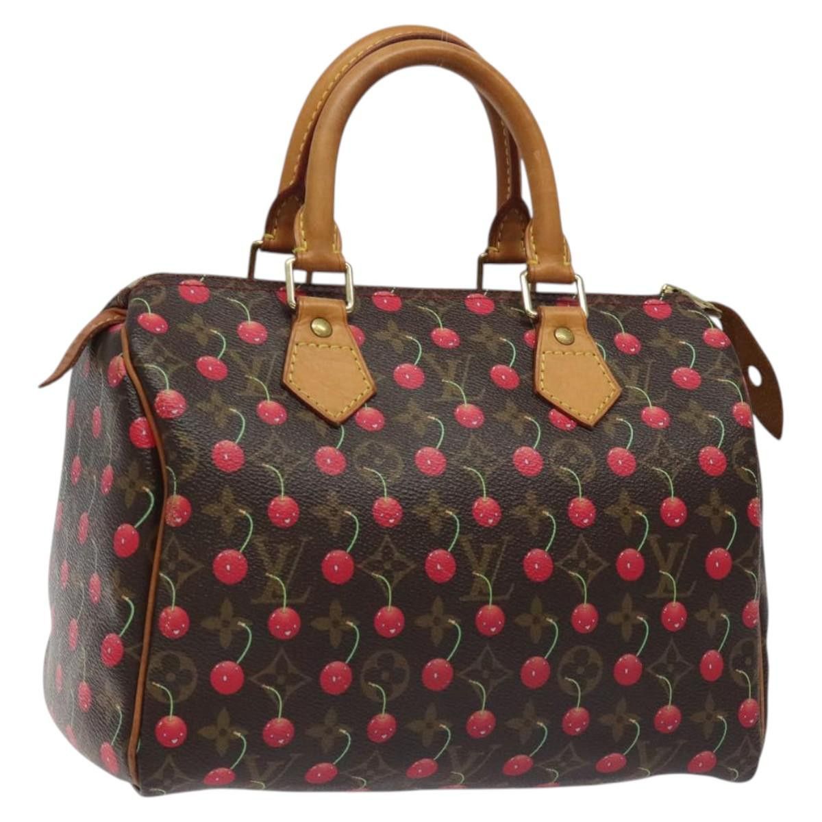 Louis Vuitton Louis Vuitton Speedy 25 handbag Size ONE SIZE - 17 Thumbnail