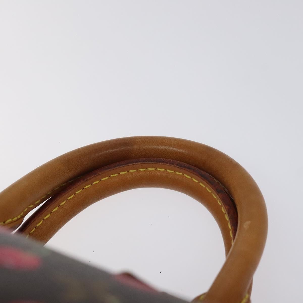 Louis Vuitton Louis Vuitton Speedy 25 handbag Size ONE SIZE - 19 Thumbnail