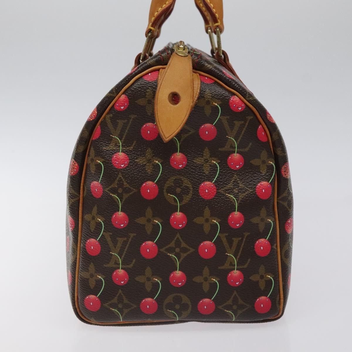 Louis Vuitton Louis Vuitton Speedy 25 handbag Size ONE SIZE - 4 Thumbnail