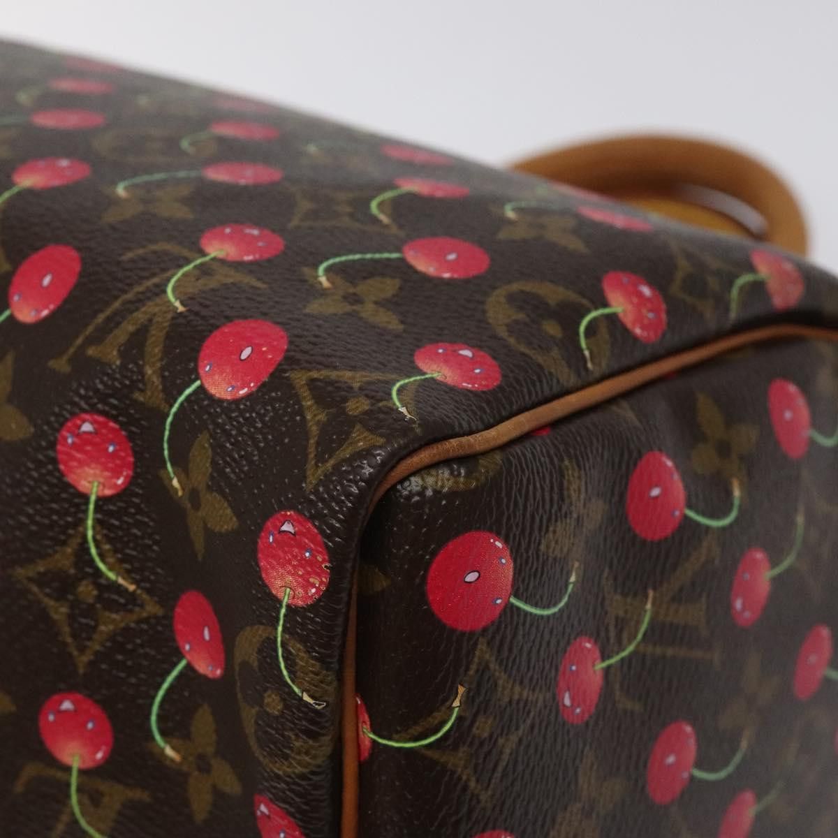 Louis Vuitton Louis Vuitton Speedy 25 handbag Size ONE SIZE - 8 Thumbnail