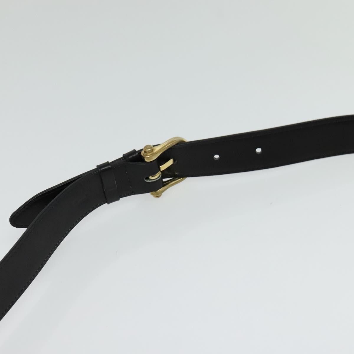 Celine Céline Horse carriage shoulder Size ONE SIZE - 18 Thumbnail
