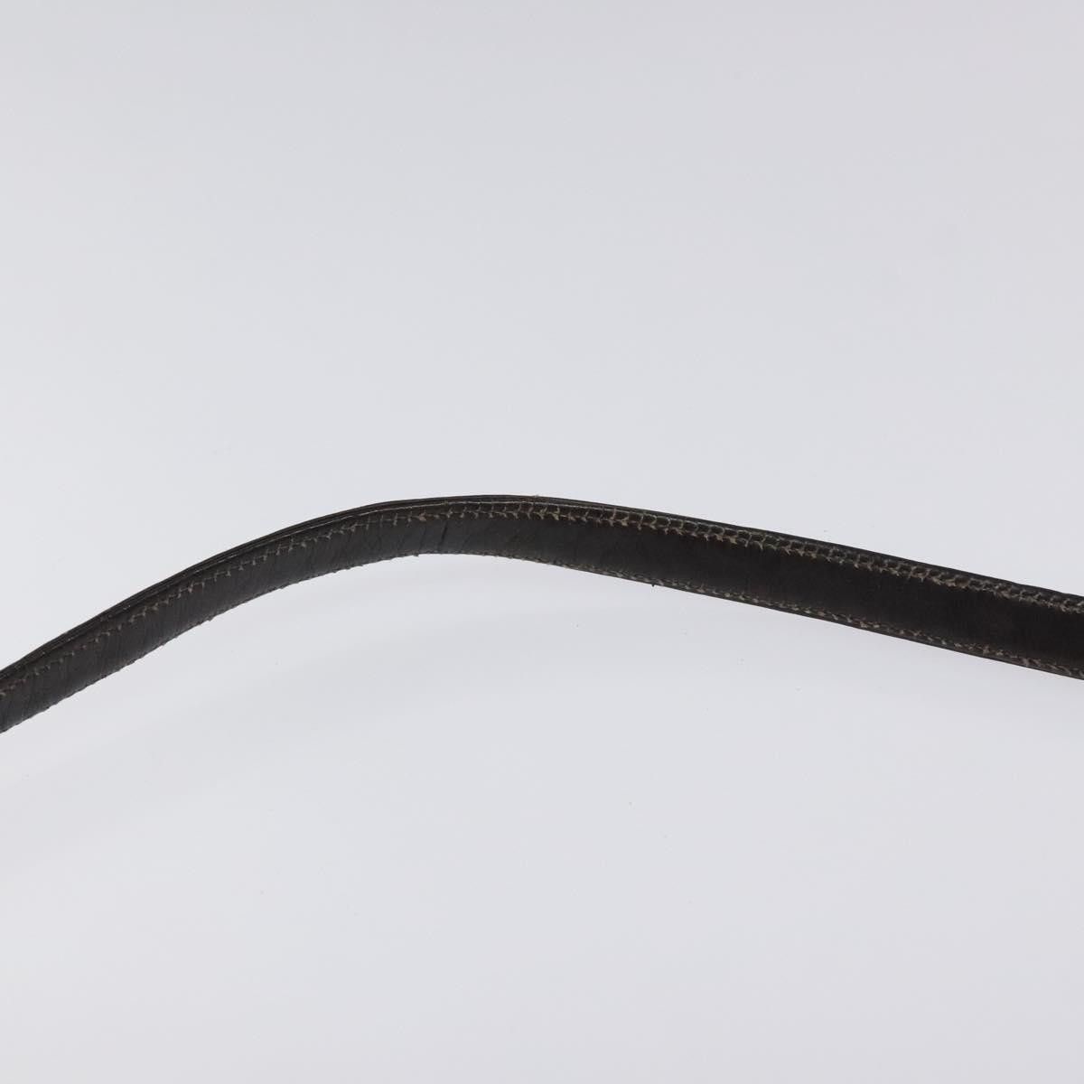 Dior Dior Trotter shoulder Size ONE SIZE - 15 Thumbnail