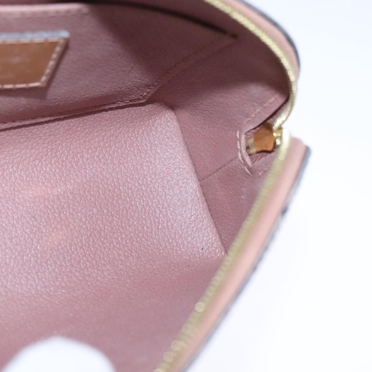 Louis Vuitton Louis Vuitton Cosmetic Pouch clutch Size ONE SIZE - 16 Thumbnail