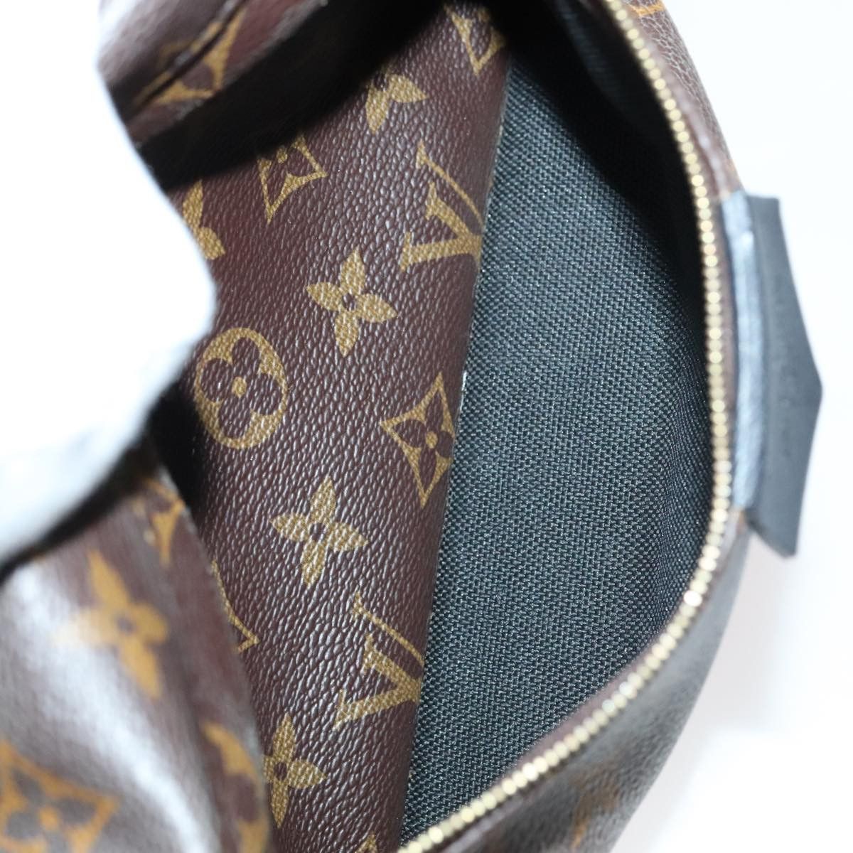 Louis Vuitton Louis Vuitton Palm Springs MM backpack Size ONE SIZE - 25 Thumbnail