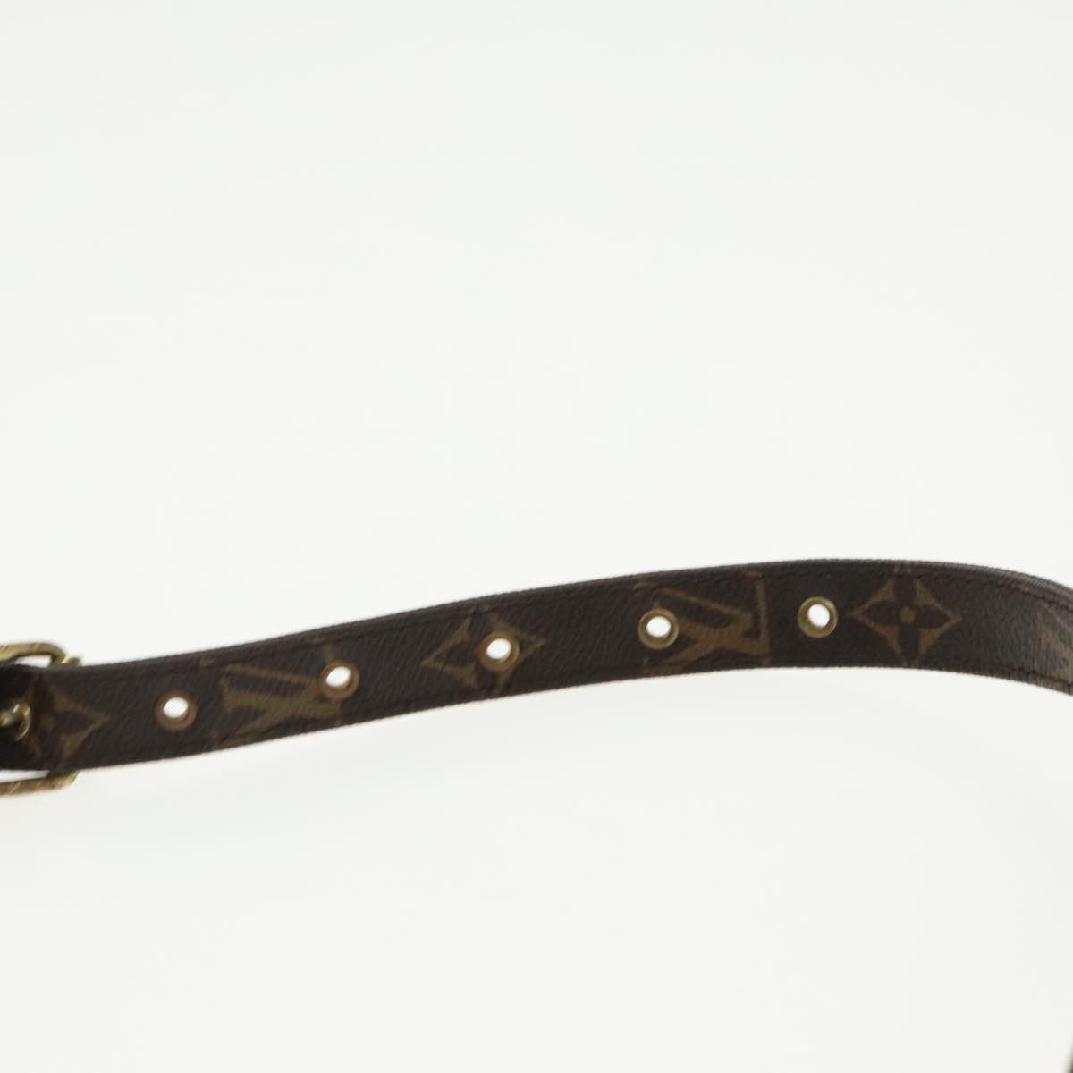 Louis Vuitton Louis Vuitton Nile shoulder Size ONE SIZE - 6 Thumbnail