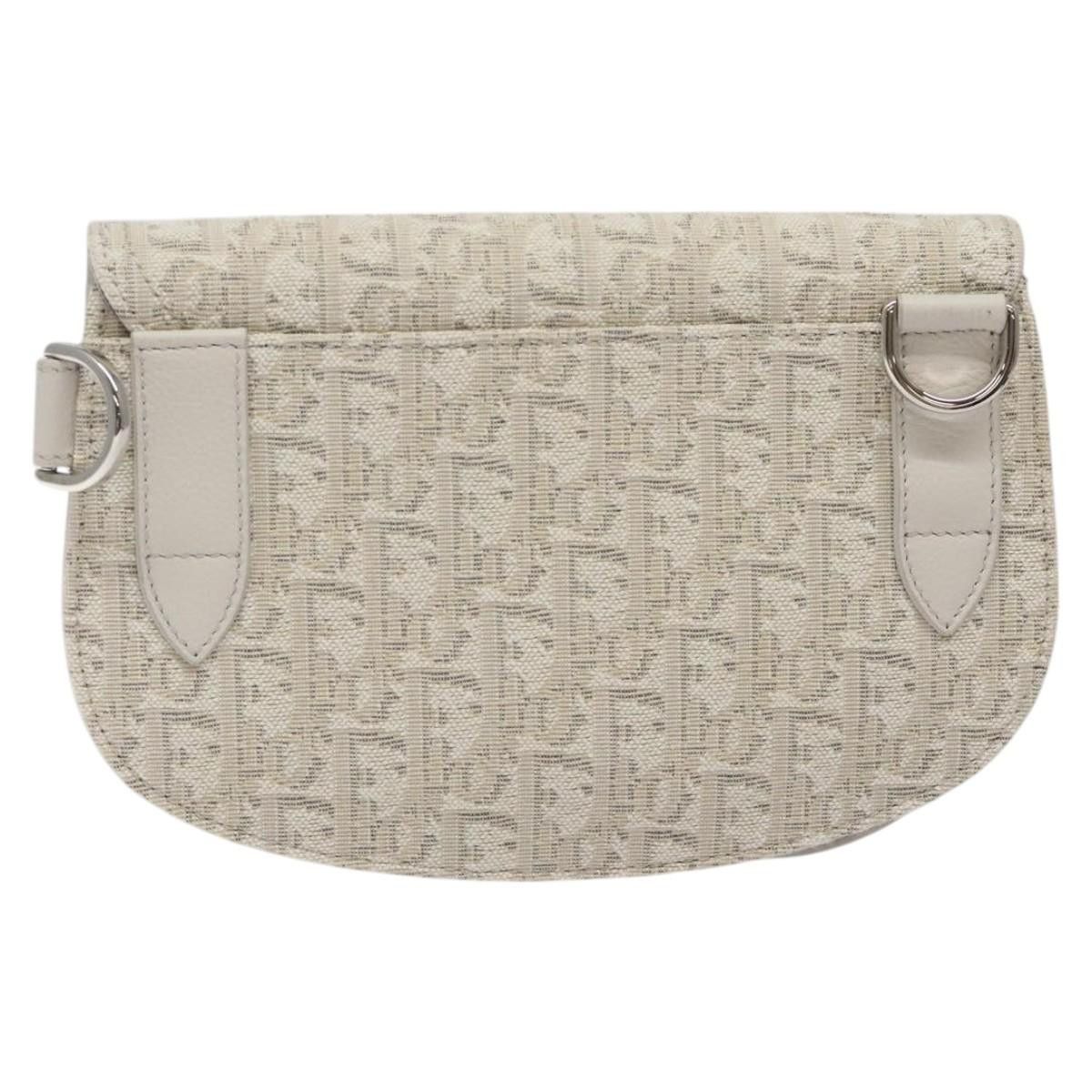 Dior Dior Saddle Dior Oblique clutch Size ONE SIZE - 2 Thumbnail