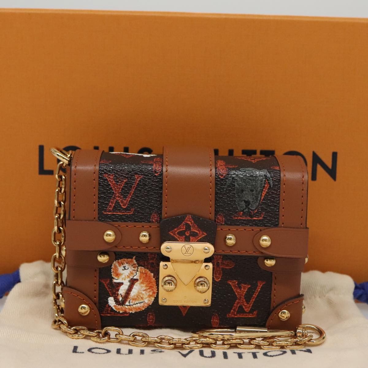 Louis Vuitton Louis Vuitton Trunk clutch Size ONE SIZE - 23 Thumbnail