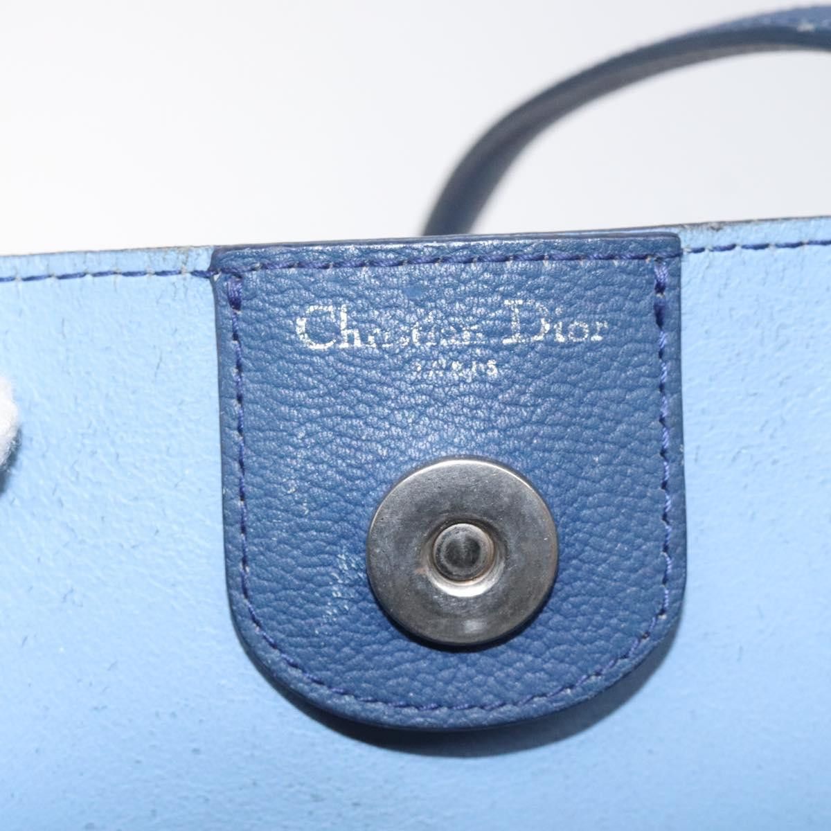 Dior Dior Blossom tote Size ONE SIZE - 12 Thumbnail
