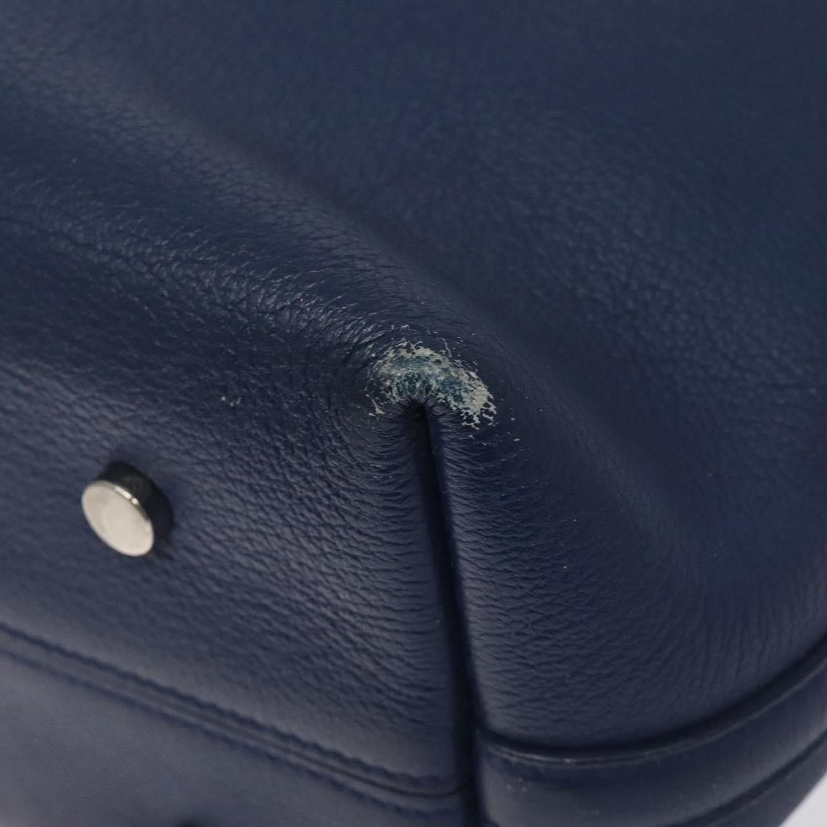 Dior Dior Blossom tote Size ONE SIZE - 9 Thumbnail
