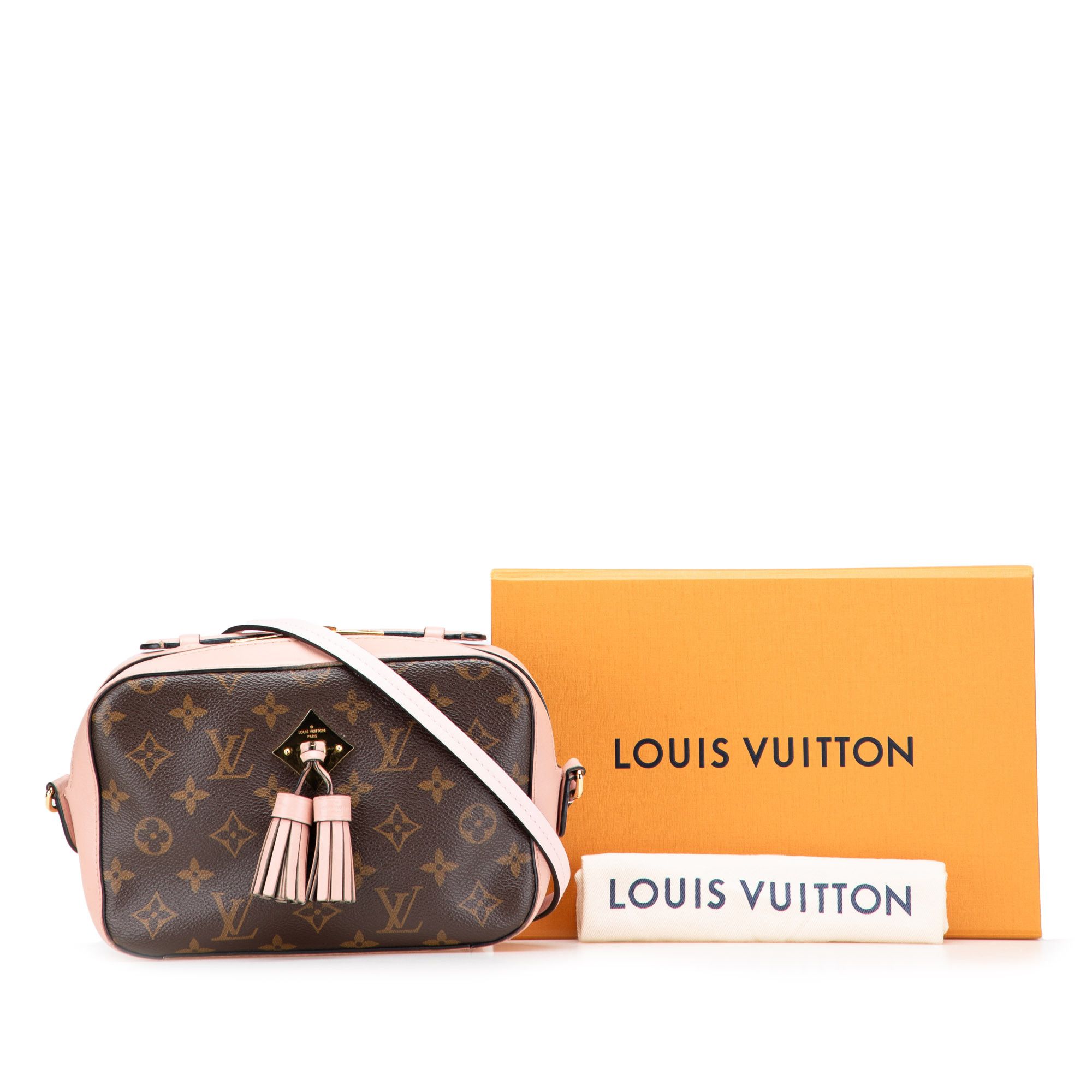 Louis Vuitton Louis Vuitton Monogram Saintonge Size ONE SIZE - 13 Thumbnail