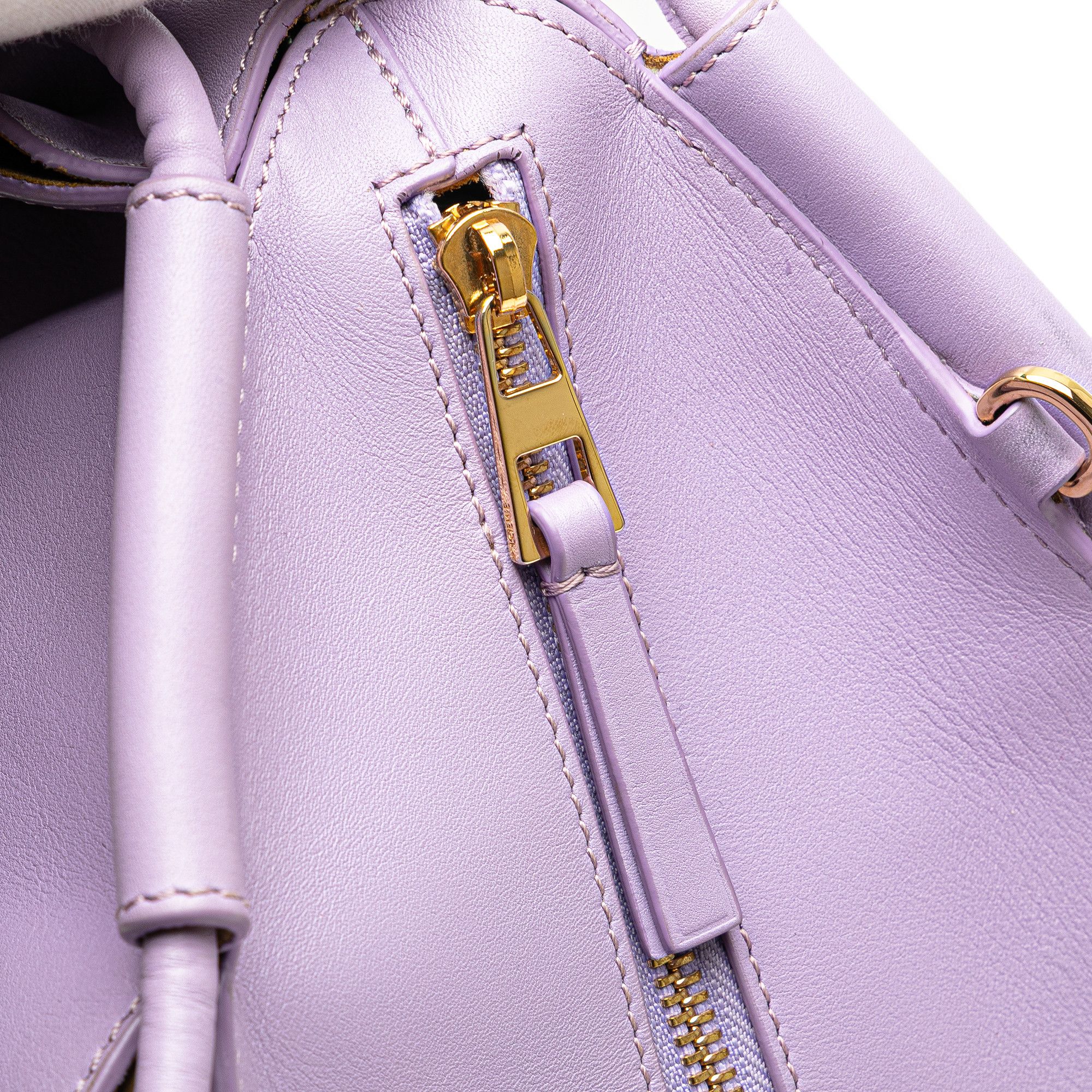 Loewe LOEWE Small Shiny Calfskin Paseo Satchel Size ONE SIZE - 6 Thumbnail