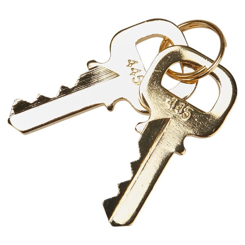 Louis Vuitton Louis Vuitton Louis Vuitton Padlock Accessory Set Metal Charm Size ONE SIZE - 5 Thumbnail