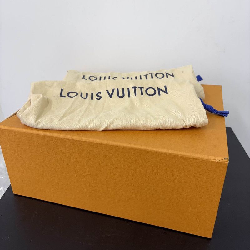 Louis Vuitton Louis Vuitton Trainer Low-Top Fashion Sneakers 0089 Size US 9 / EU 42 - 16 Thumbnail