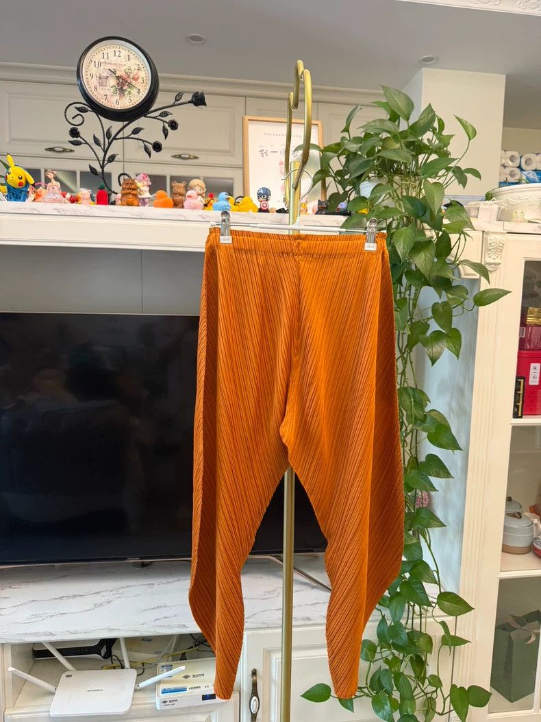 Issey Miyake Issey Miyake PP Series Pleated Pants -dmc Size US 30 / EU 46 - 7 Thumbnail