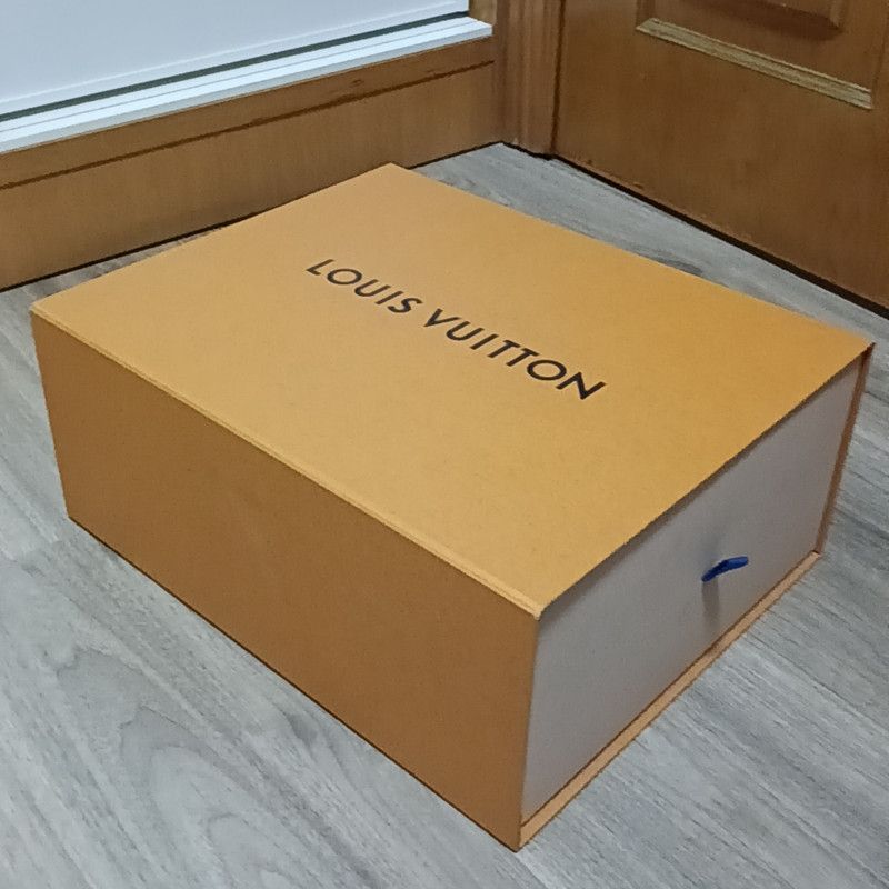 Louis Vuitton Louis Vuitton Ollie Fashion Sneakers in Orange 0089 Size US 8.5 / EU 41-42 - 6 Thumbnail