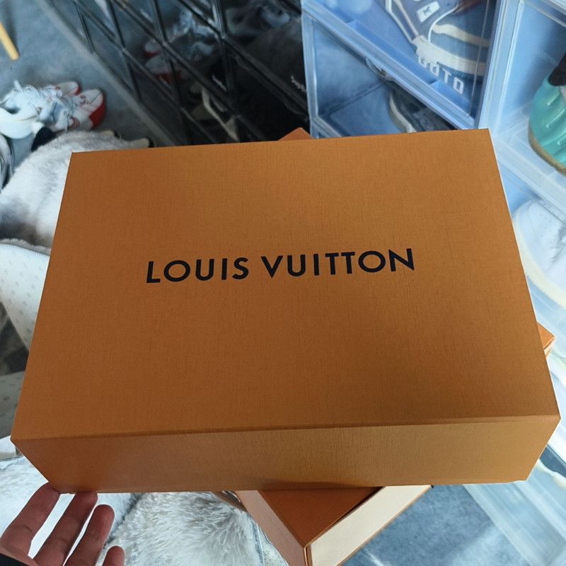Louis Vuitton Louis Vuitton Trainer Low-Top Sneakers for Men 0089 Size US 8 / EU 41 - 6 Thumbnail