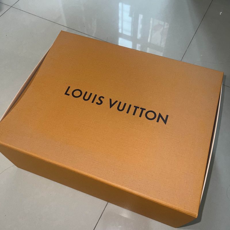 Louis Vuitton Louis Vuitton Archlight Low-Top Sneakers for Women 0079 Size US 7 / IT 37 - 6 Thumbnail