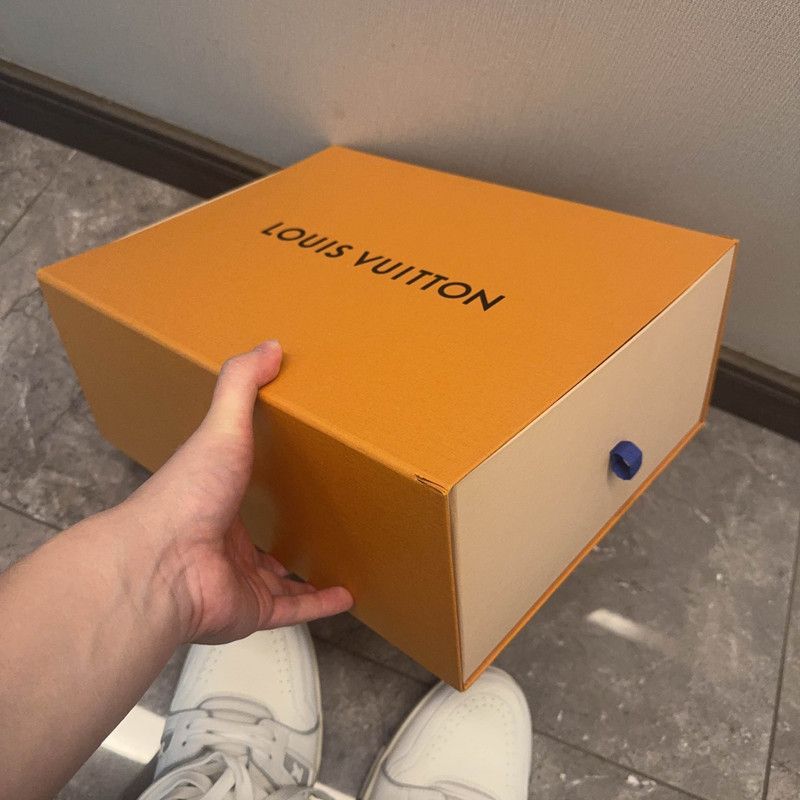 Louis Vuitton Louis Vuitton Trainer Low Top Sneakers for All 0079 Size US 11 / IT 41 - 6 Thumbnail